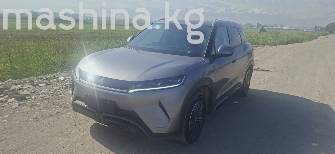 BYD Yuan Up
