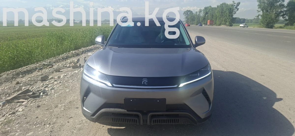 BYD Yuan Up