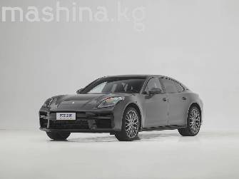 Porsche Panamera III 2.9 AMT