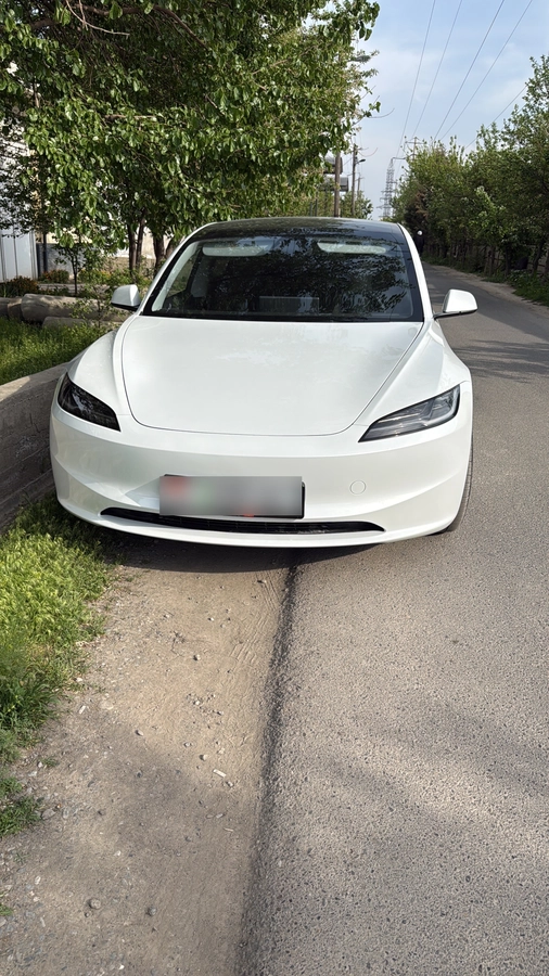 Tesla Model 3 I Рестайлинг Long Range Electro AT 4WD