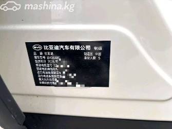 BYD Sea Lion 06 Electro AT