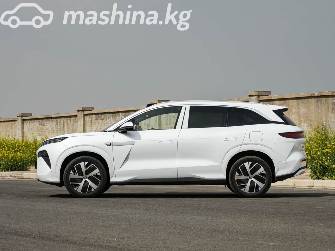 BYD Tang L DM-i 1.5hyb AT