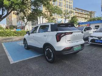 Geely Geometry E 33.5 kWh Electro AT