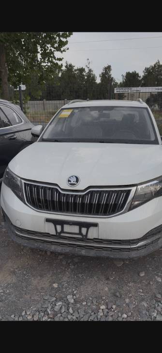 Skoda Kamiq I (China Market) 1.5 AT