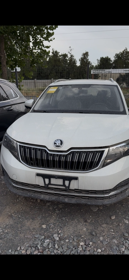 Skoda Kamiq I (China Market) 1.5 AT