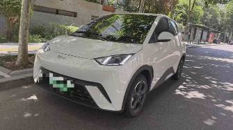 BYD Seagull 30.08 kWh Electro AT