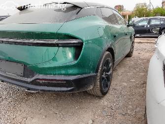 Lotus Eletre