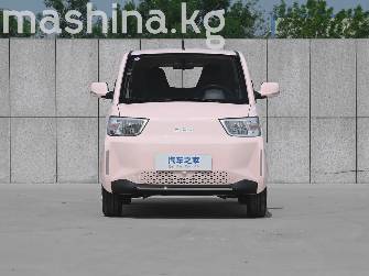 BAW Yuanbao 13.6 kWh Electro AT