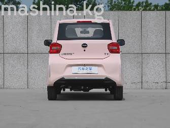 BAW Yuanbao 13.6 kWh Electro AT