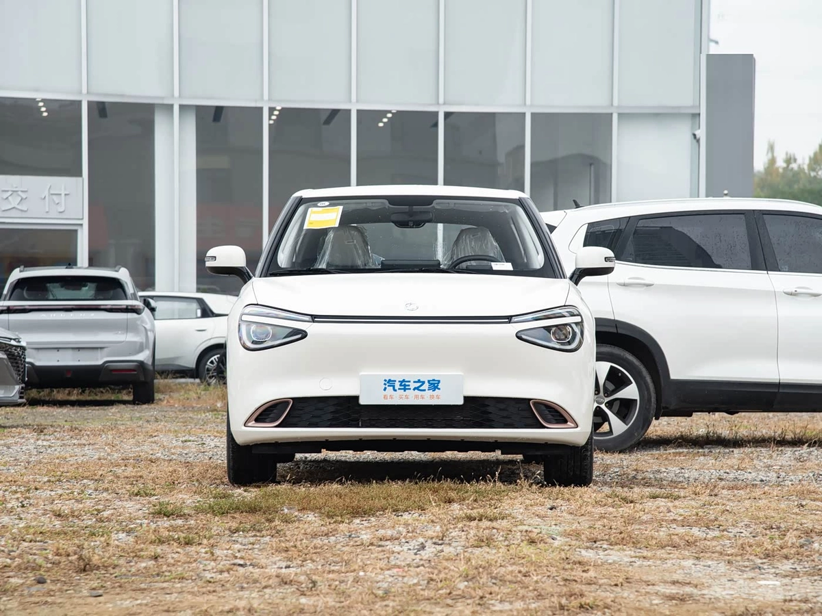 Dongfeng Nammi 01 42.3 kWh Electro AT