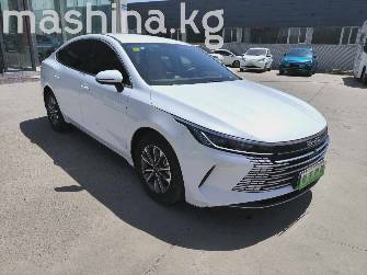 BYD Destroyer 05 1.5hyb AT