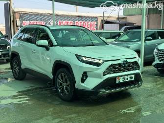 Toyota RAV4 V (XA50) 2.5hyb CVT 4WD
