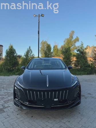 Hongqi E-QM5 54 kWh Electro AT