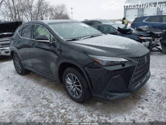 Lexus NX II 250 2.5 AT 4WD