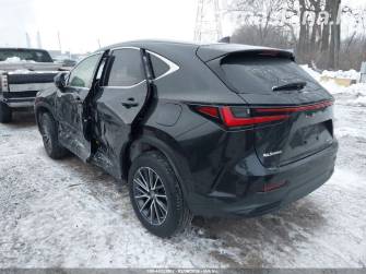 Lexus NX II 250 2.5 AT 4WD