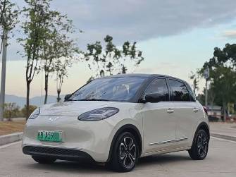Wuling Binguo 17.3 kWh Electro AT