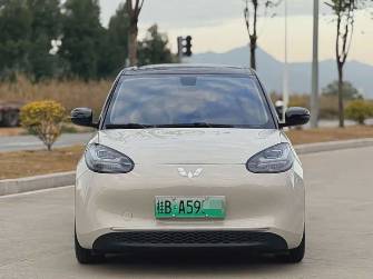 Wuling Binguo 17.3 kWh Electro AT