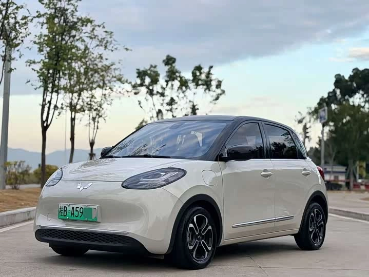 Wuling Binguo 17.3 kWh Electro AT