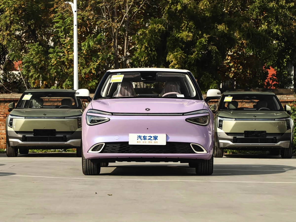 Dongfeng Nammi 01 31.45 kWh Electro AT