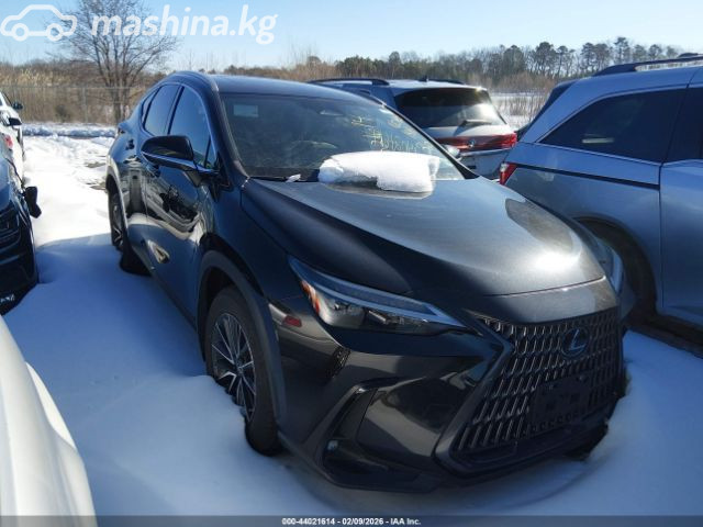 Открыть фото Lexus NX II 350 2.4 AT 4WD