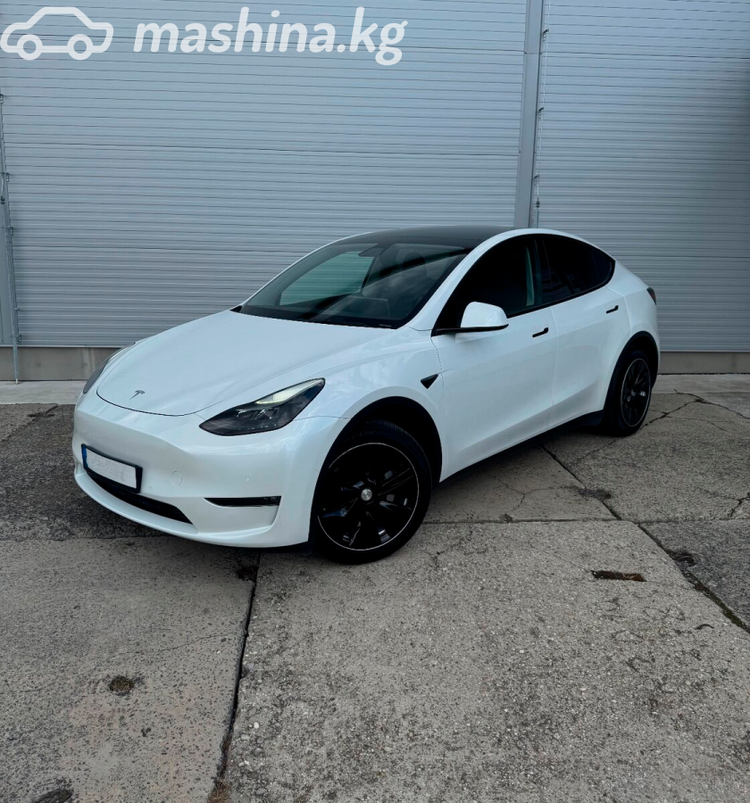 Tesla Model Y I Long Range Electro AT 4WD