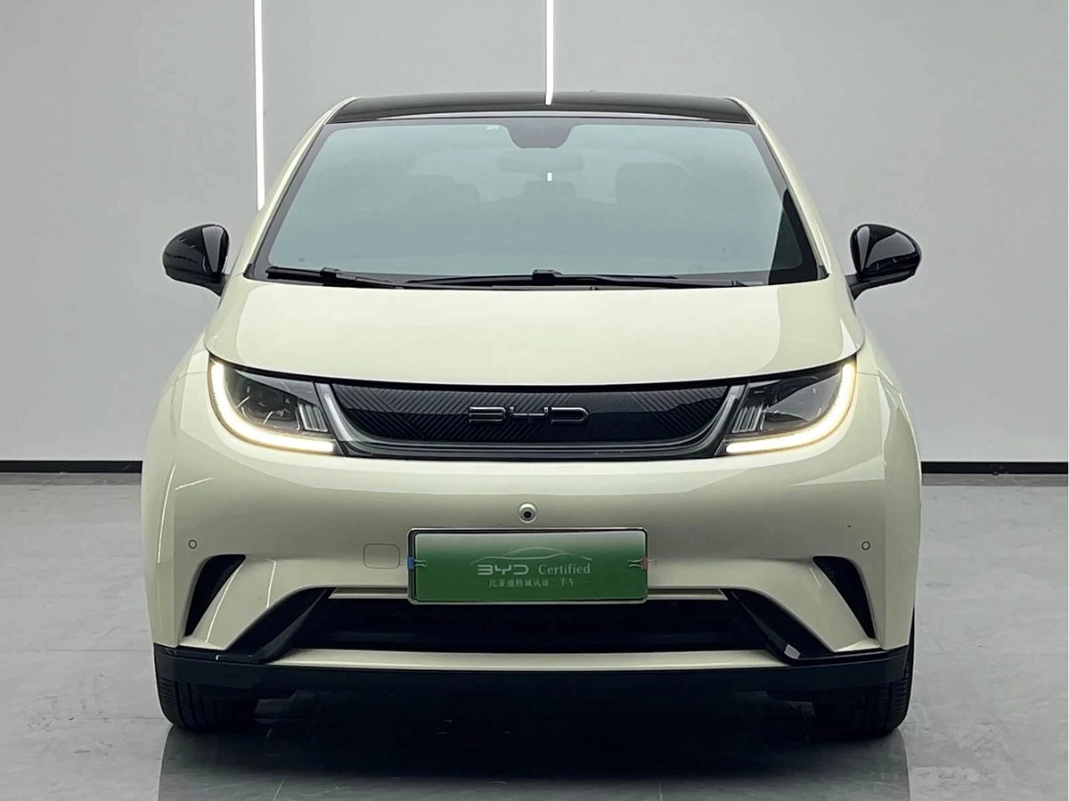 BYD Dolphin 30.7 kWh Electro AT