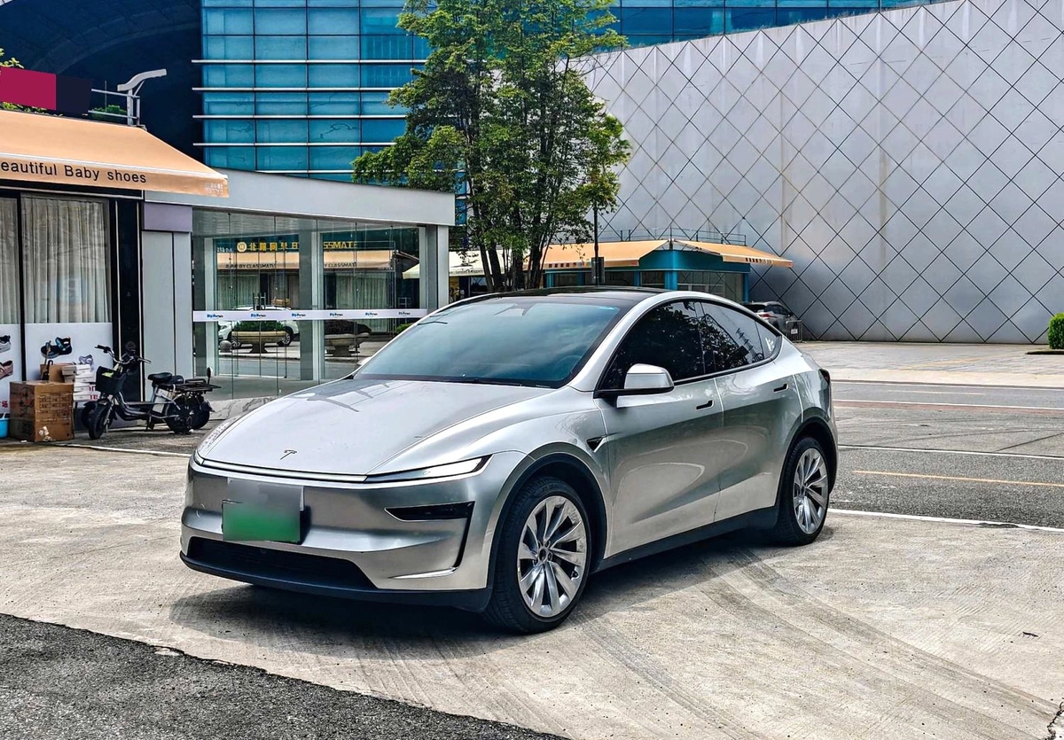 Tesla Model Y I Long Range Electro AT