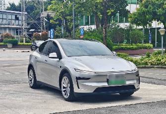 Tesla Model Y I Long Range Electro AT