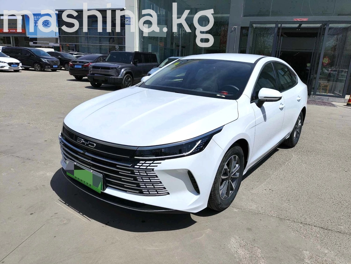 BYD Destroyer 05 1.5hyb AT