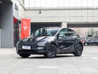 Tesla Model Y I Long Range Electro AT