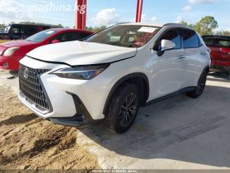 Lexus NX II 250 2.5 AT