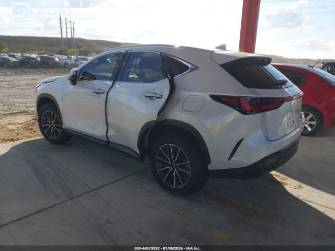 Lexus NX II 250 2.5 AT
