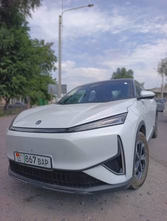Dongfeng Aeolus L7 Electro AT