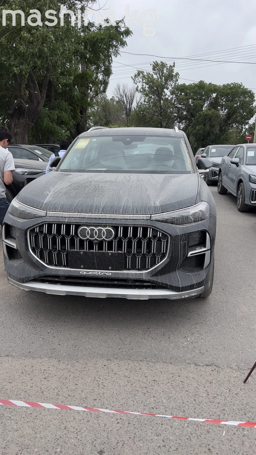 Audi Q6 40 TFSI 2.0 AMT 4WD