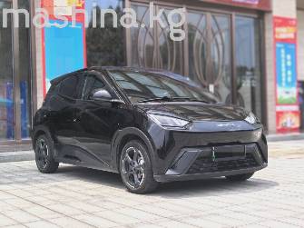 BYD Seagull 30.08 kWh Electro AT