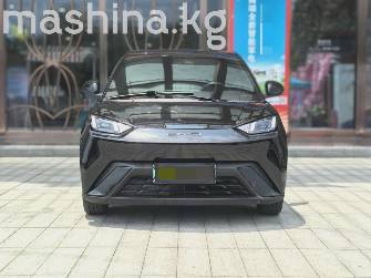 BYD Seagull 30.08 kWh Electro AT