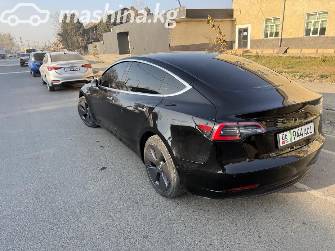 Tesla Model 3 I Standart Electro AT