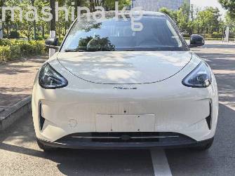 Geely Geome Xingyuan 40.16 kWh Electro AT