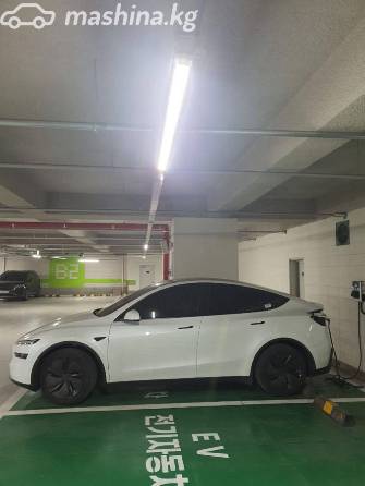 Tesla Model Y I Performance Electro AT 4WD