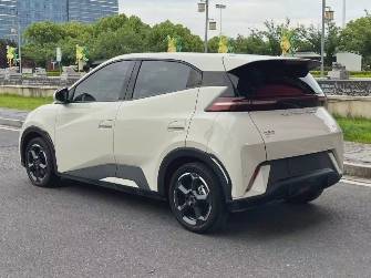 BYD Seagull 30.08 kWh Electro AT
