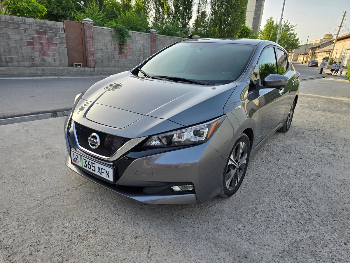 Nissan Leaf II (ZE1) Electro AT