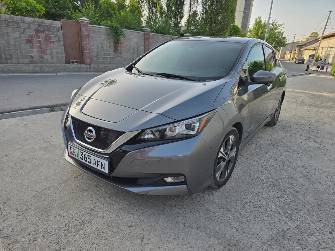 Nissan Leaf II (ZE1) Electro AT