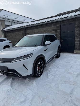 BYD Yuan Up Electro AT