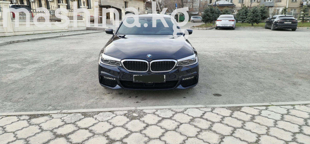 Открыть фото BMW 5 серии VII (G30/G31) 530i xDrive 2.0 AT 4WD
