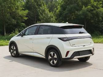 BYD Dolphin 44.9 kWh Electro AT