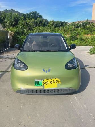 Wuling Binguo 31.9 kWh Electro AT