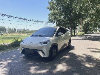 BYD Seagull 30.08 kWh Electro AT