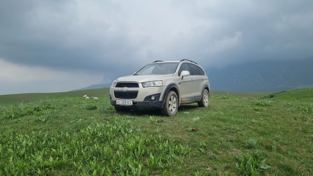 Daewoo Winstorm 2.0d AT