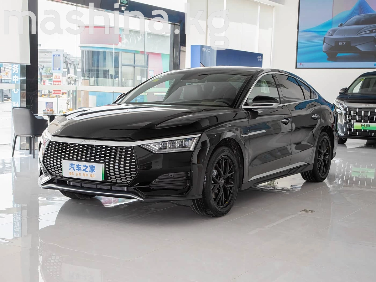 BYD E9 Electro AT