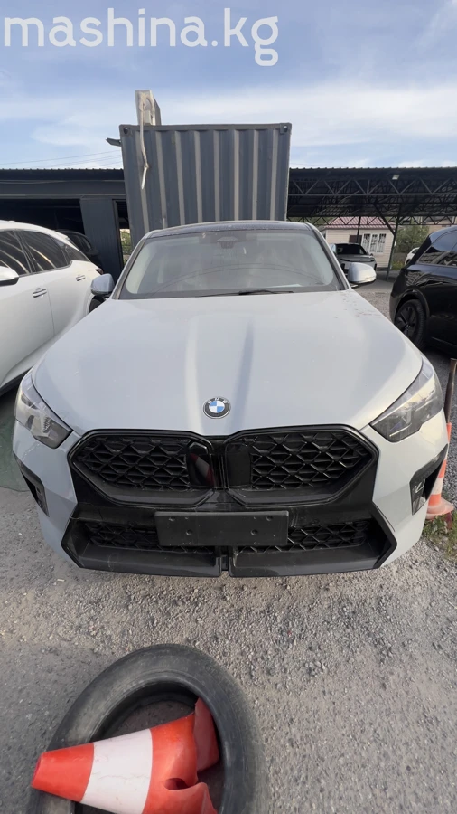 BMW X2 II (U10) xDrive25i 2.0 AMT 4WD